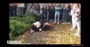 Brutalna bójka nastolatek w Brzozowie. “Nagranie jest przerażające”