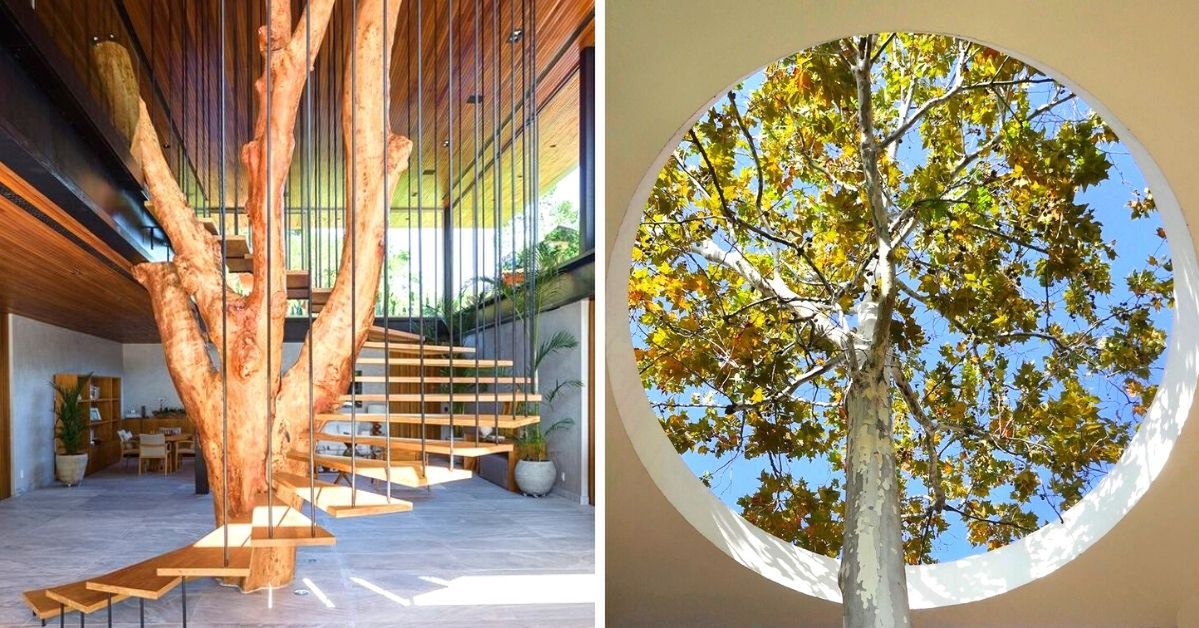 25 Architects Who Have Incorporated Trees Into Their Designs