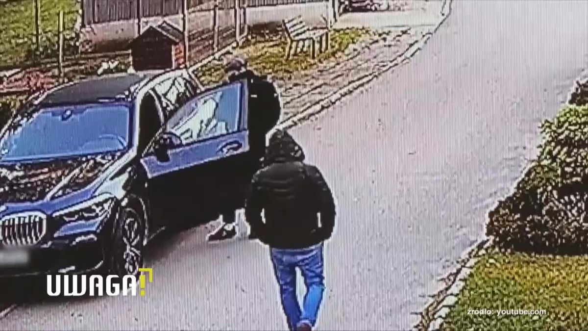 zdjęcie