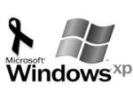 Windows XP w pecetach Della do 2012 r.?