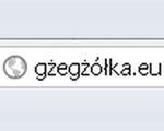 Gżegżółka.eu: Polacy chętnie rejestrują domeny z ogonkami