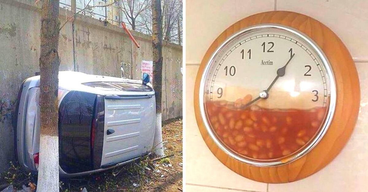 12 Photos That Will Make Anyone Stare Inquisitively at Them . They're Hard to Explain