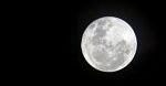Internetowa taryfa nocna Vectry