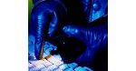 Grupy przestępcze przenoszą się do internetu