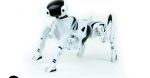 Roboty przyszłości dostępne już dziś