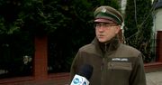 Nadleśnictwo wycięło stuletnie miejskie sosny. Urzędnicy zawiadomili policję, “trudno mówić o jakichś konsekwencjach”