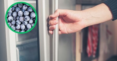 Weź jagody i zrób jedną rzecz zanim je zamrozisz. Tak szybko rozwiążesz irytujący problem