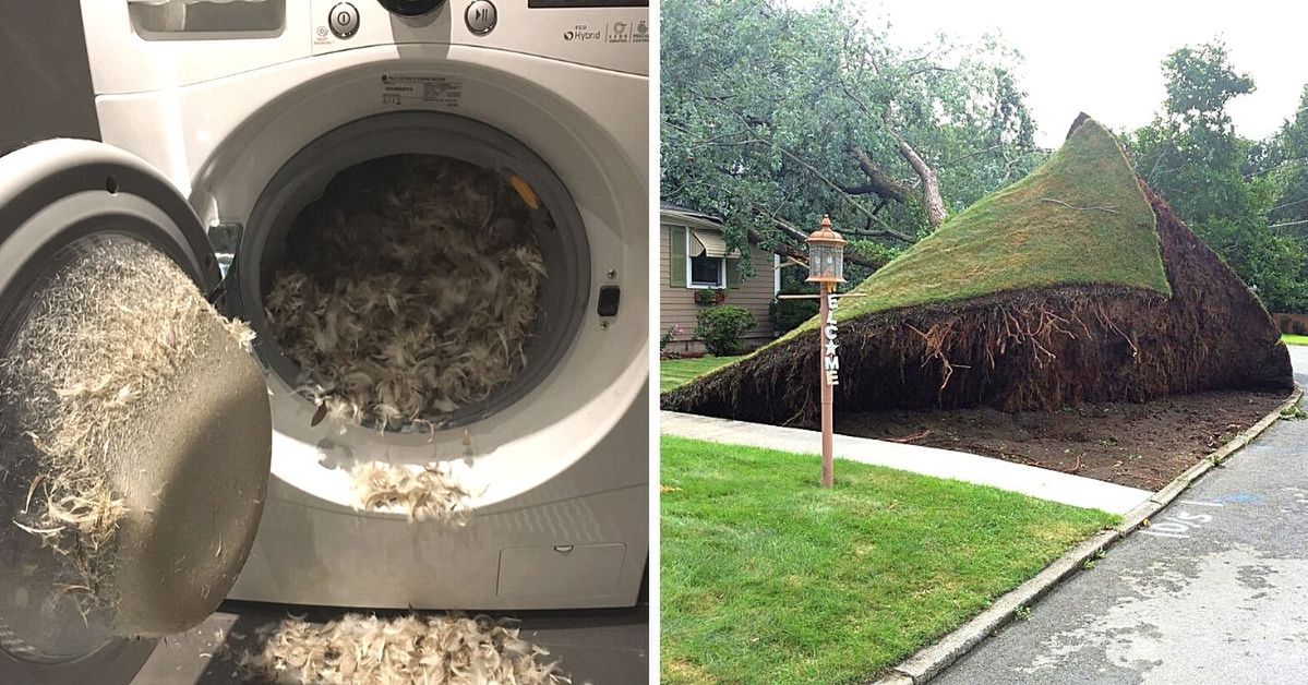 20 Photos Clearly Showing What the Worst Day Ever Could Look Like