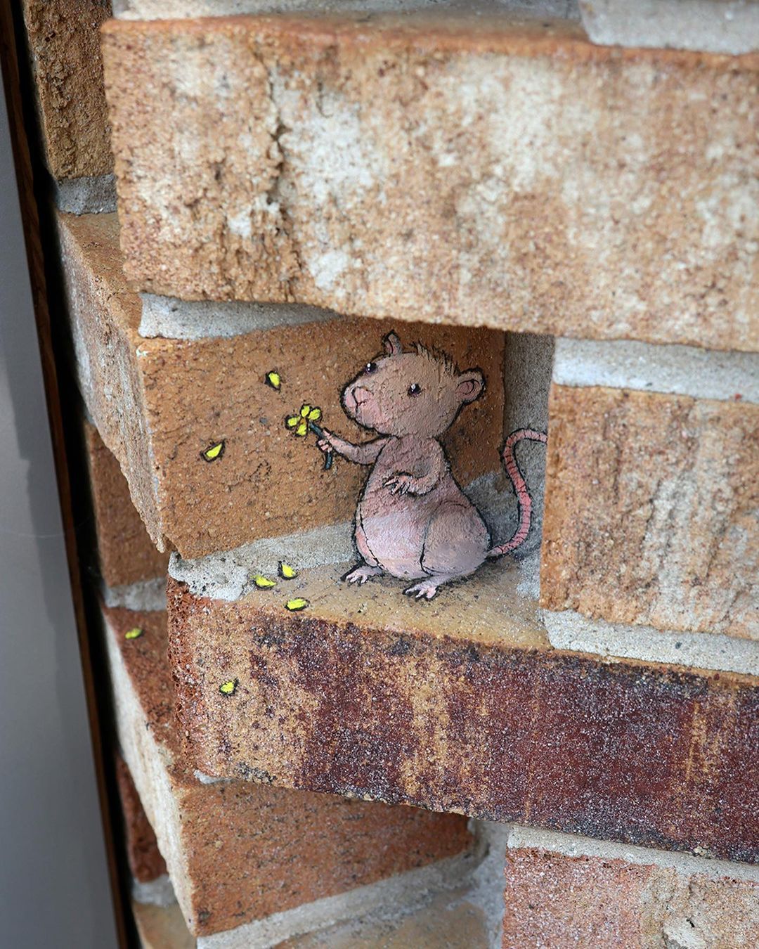 davidzinn/instagram