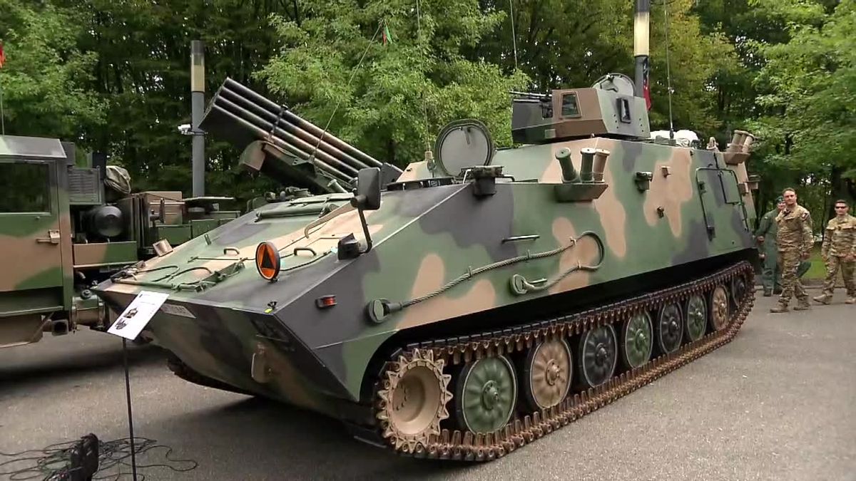 zdjęcie