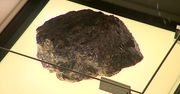 Największa na świecie bryła bursztynu w Muzeum Gdańska. 68-kilogramowa bryła pochodzi z Sumatry