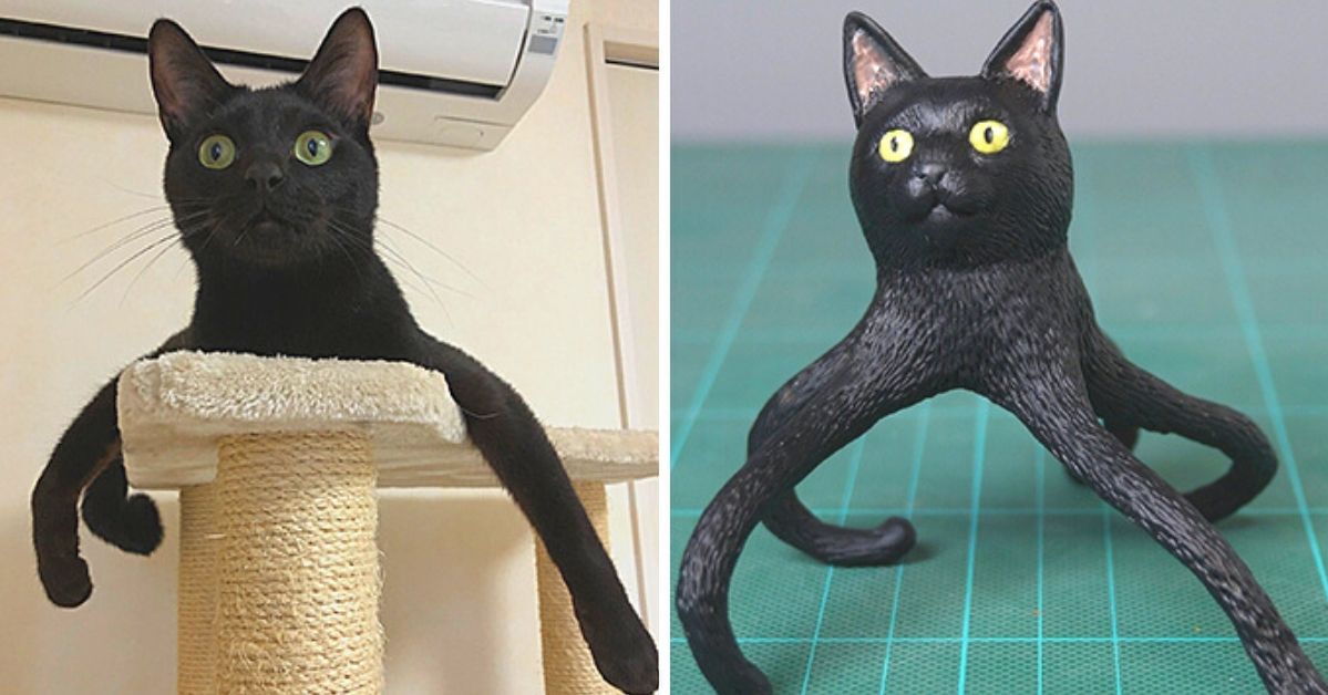 The 23 Weirdest Sculptures Reflecting Animals From the Most Hilarious Photos on the Web