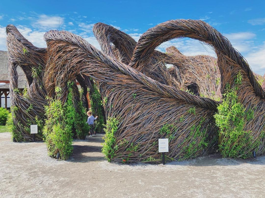 patrick dougherty / instagram