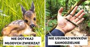 Bo dzik zawsze jest dziki. 7 kłopotliwych sytuacji, które mogą spotkać każdego podczas wędrówek po lesie