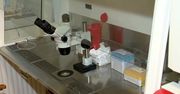 W Łodzi ruszył nabór do kolejnej edycji miejskiego programu dofinansowania zapłodnienia in vitro