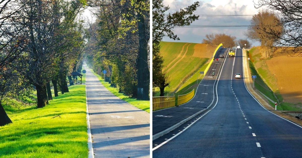 Zrezygnowano z wycinki drzew budując nową drogę obok, a starą aleję lipową przekształcono w ścieżkę rowerową