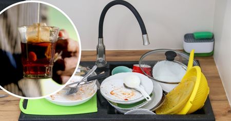 Wrzuć je do zlewu pełnego naczyń, a od razu odczujesz tego efekty