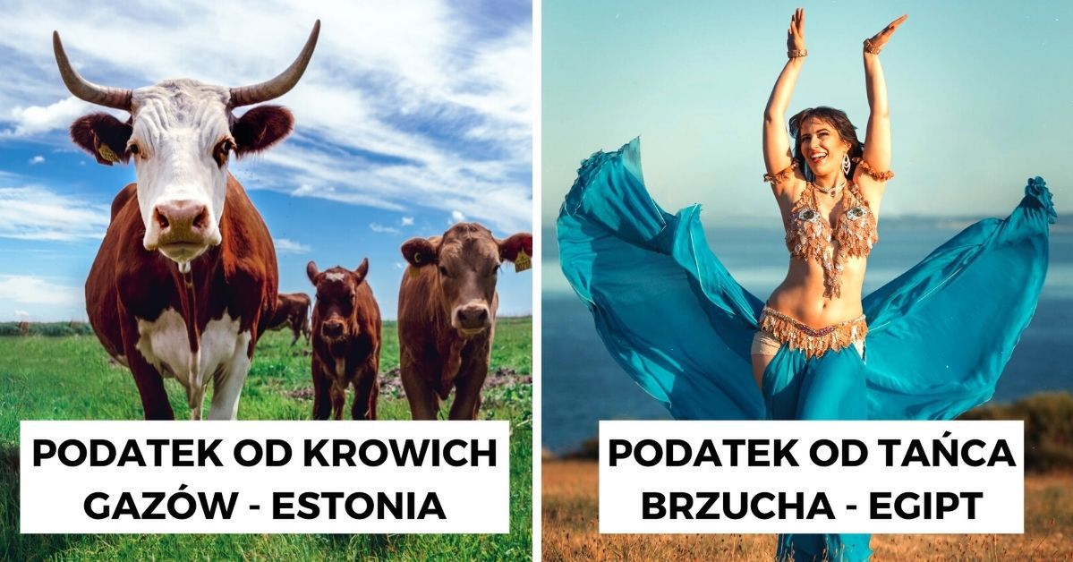 11 najdziwniejszych rzeczy na świecie, które zostały opodatkowane. Cukier wcale nie jest na pierwszym miejscu