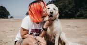 Nie wszędzie nad Bałtykiem psy są mile widziane. Sprawdź, na które plaże wejdziesz z pupilem