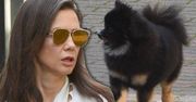 Kinga Rusin o Czarku Lisie w mediach społecznościowych: "To chyba żart!" [WIDEO]