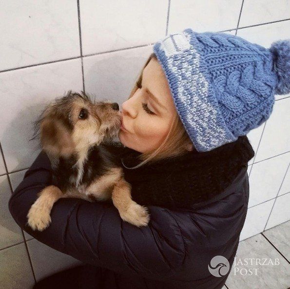 Joanna Krupa poszukuje chętnych do programu Misja Pies