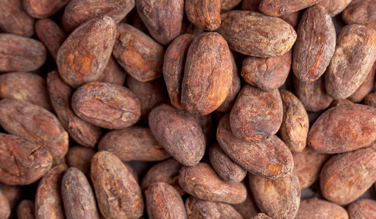 Ziarna kakaowca mają niesamowite właściwości - Pyszności; foto: Canva