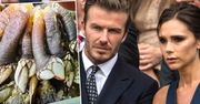 David Beckham ośmieszył Victorię, pokazując zdjęcie jej stóp. Porównał je do skorupiaka. To jakiś koszmar!