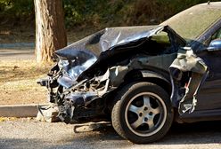 "Fotoradary to za mało". Właściciel marki Mio rusza z kampanią edukacyjną