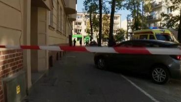 zdjęcie