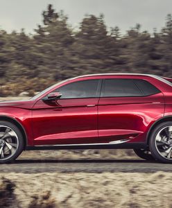 Citroen DS Wild Rubis