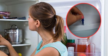 Sprawdź, czy masz w lodówce taką dziurkę. Jest niesłychanie ważna
