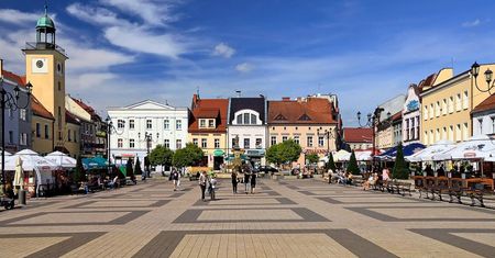 Bez drzew upały nas wykończą. Oto jak zieleń zmniejsza temperaturę w miastach