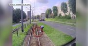 Zauważyła mewę na torowisku. Zatrzymała tramwaj i zaopiekowała się rannym ptakiem