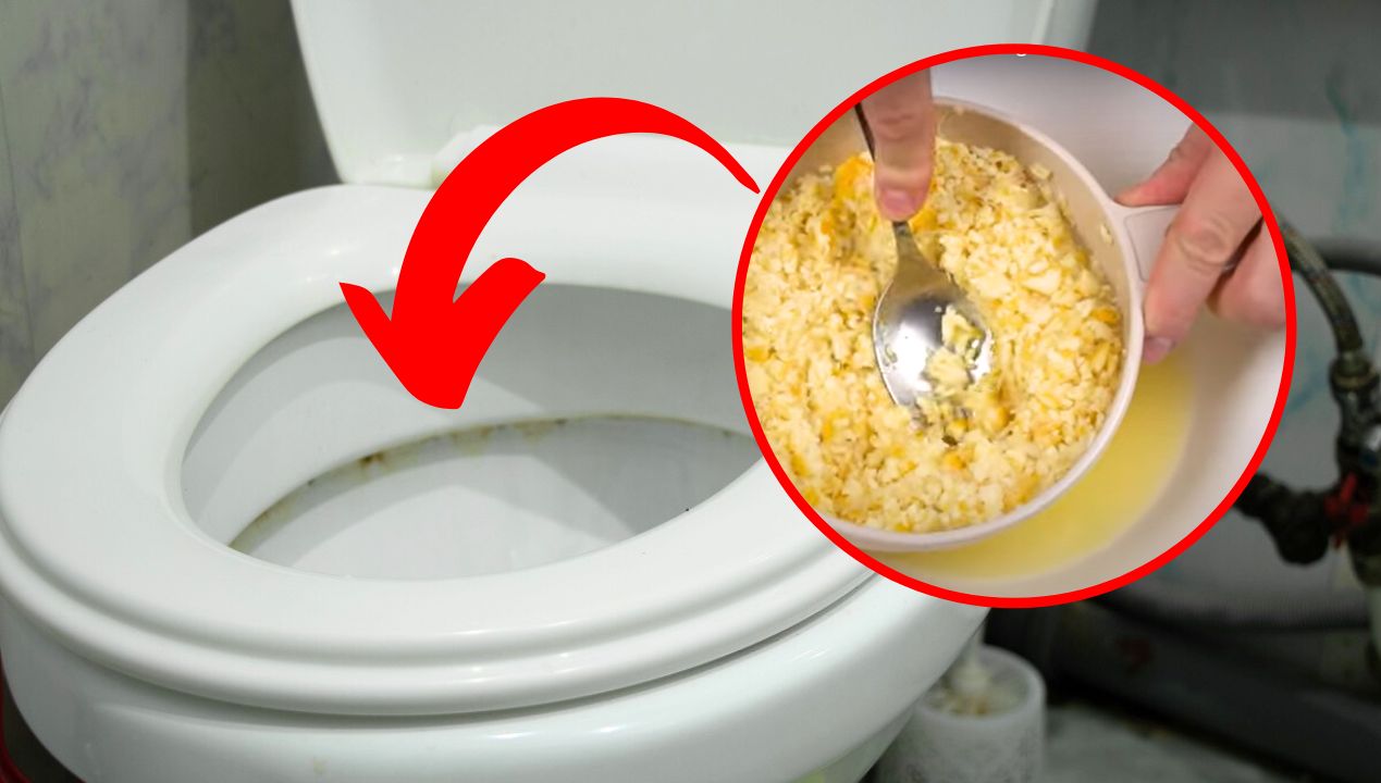 To sprawdzony trik na czystą toaletę. Fot. Freepik/YouTube: come cucinare