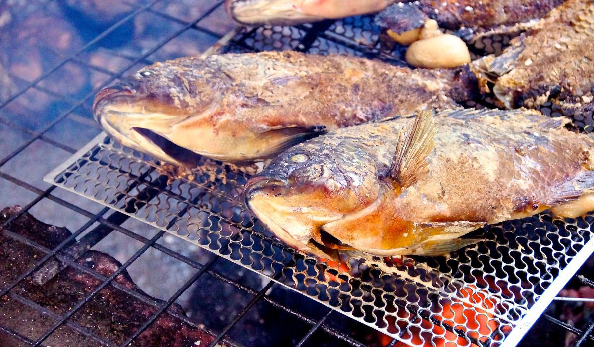 Jak zrobić ryby z grilla? - Pyszności; foto: Canva