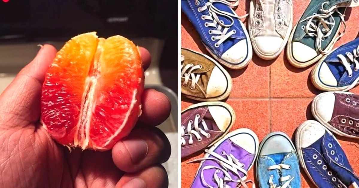 19 Photos That Any Perfectionist Can Look at for Hours. They Relax Like a Nice Massage