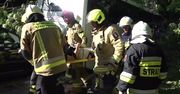Wypadek autobusu w pobliżu miejscowości Ogorzelec na Dolnym Śląsku. 14 osób zostało rannych