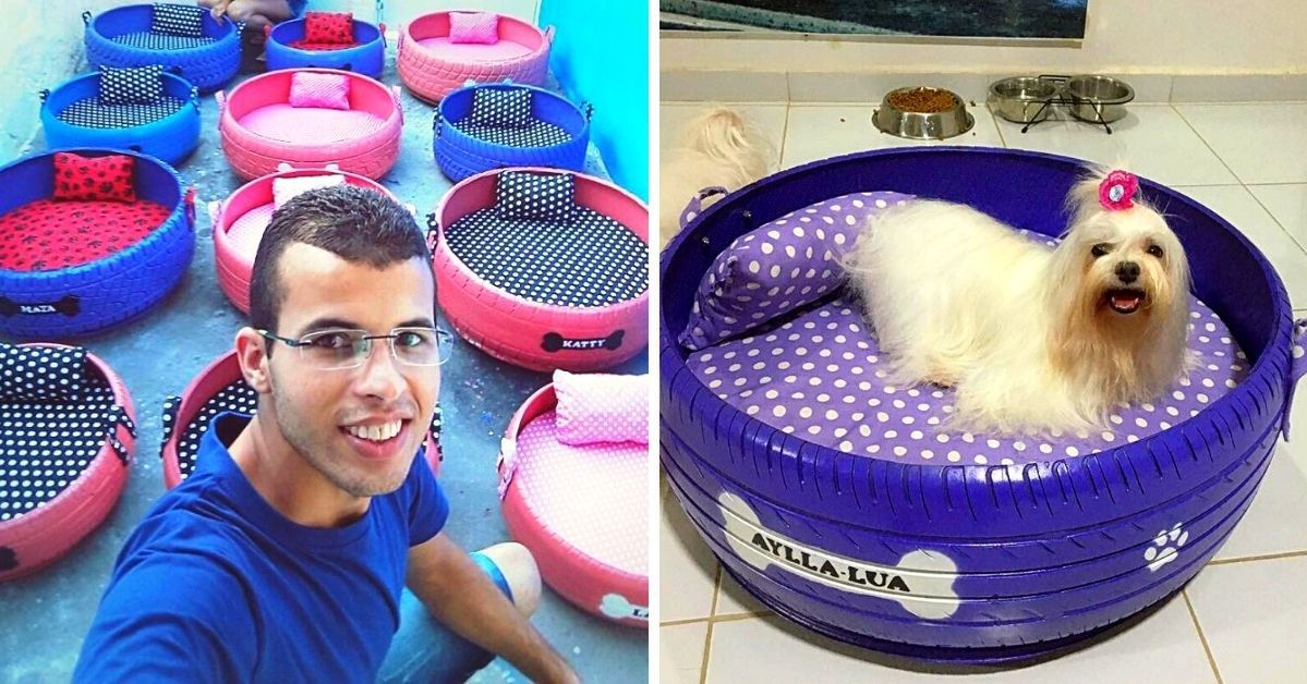 A Brazilian Man Collects Old Tires and Turns Them Into Pet Beds. Practical Recycling