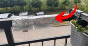 Weź z kuchni i owiń barierki na balkonie. Gołębie już więcej nie przylecą