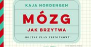 Jak w łatwy sposób trenować funkcjonowanie mózgu?
