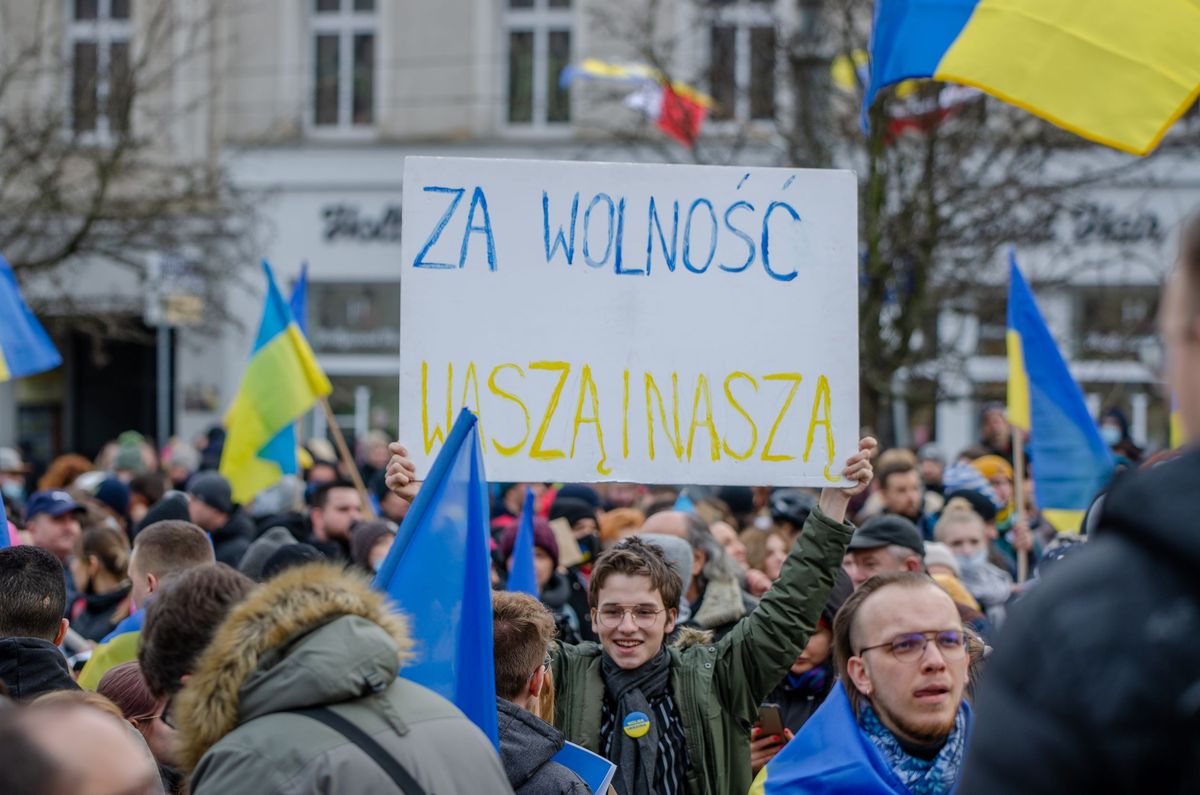 zdjęcie
