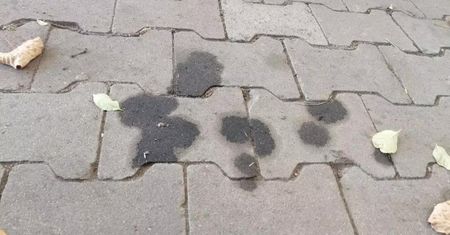 Po zimie polej tym plamy na kostce brukowej. Wiosną będzie jak nowa
