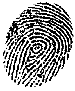 288764737460910227