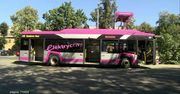 Elektryczne autobusy od nowego roku pozostaną w bazach? Drogi prąd to cios w elektromobilność