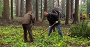 Prezydent wziął udział akcji sadzenia drzew #sadziMY w Małopolsce