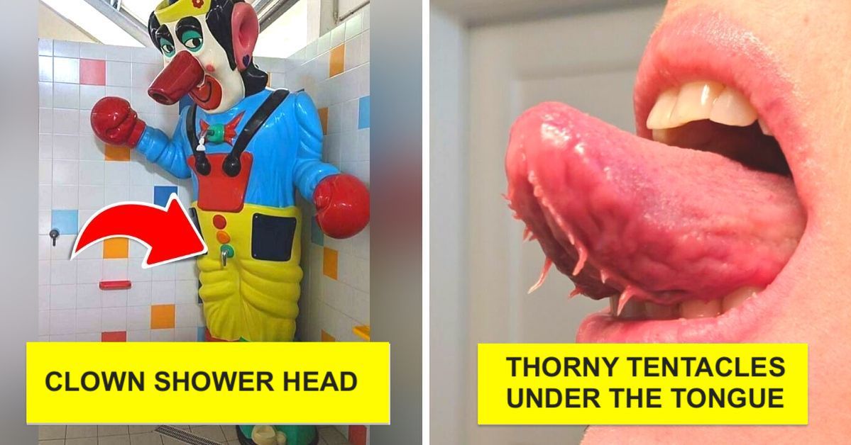 23 Absurdly Weird Things That Will Make You Stare Ridiculously at