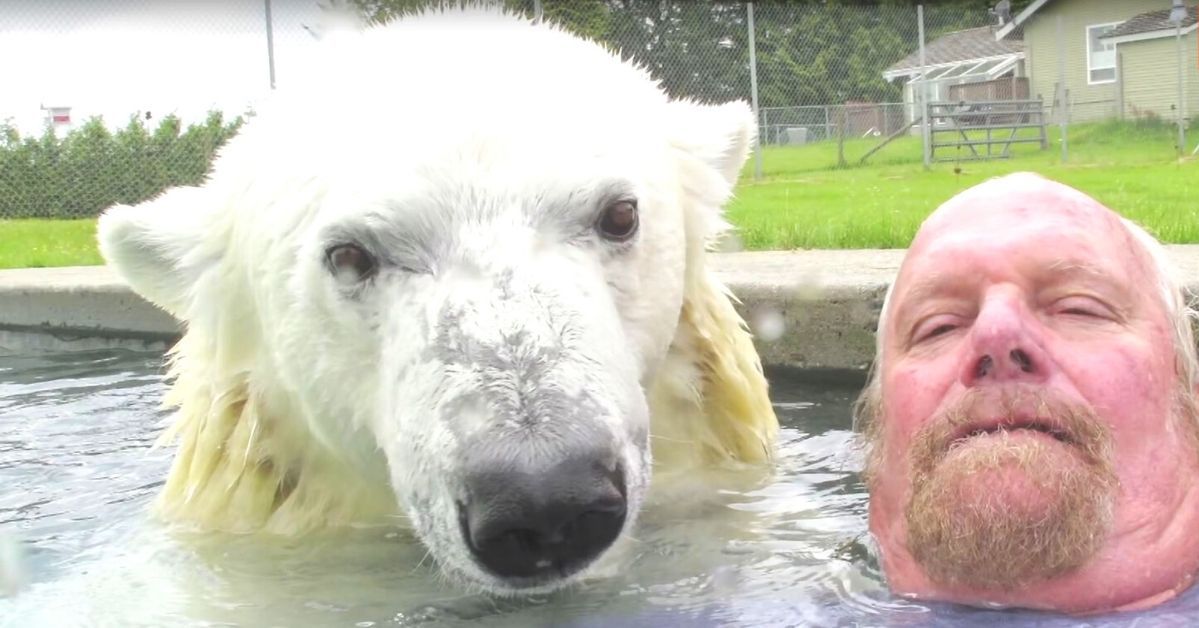 Mężczyzna, który zaprzyjaźnił się z niedźwiedziem polarnym i pływa z nim razem w basenie
