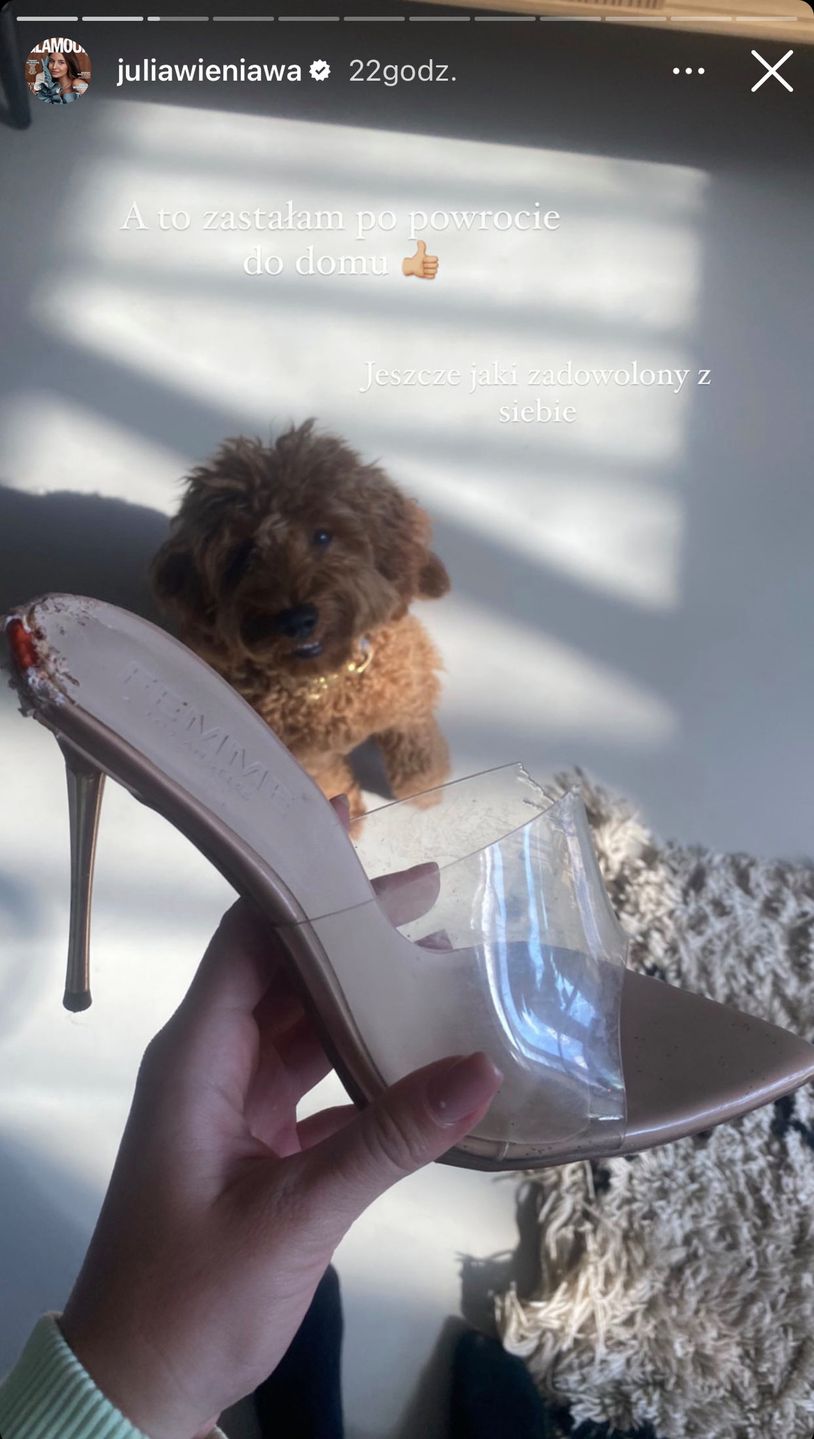 Buty Julii Wieniawy