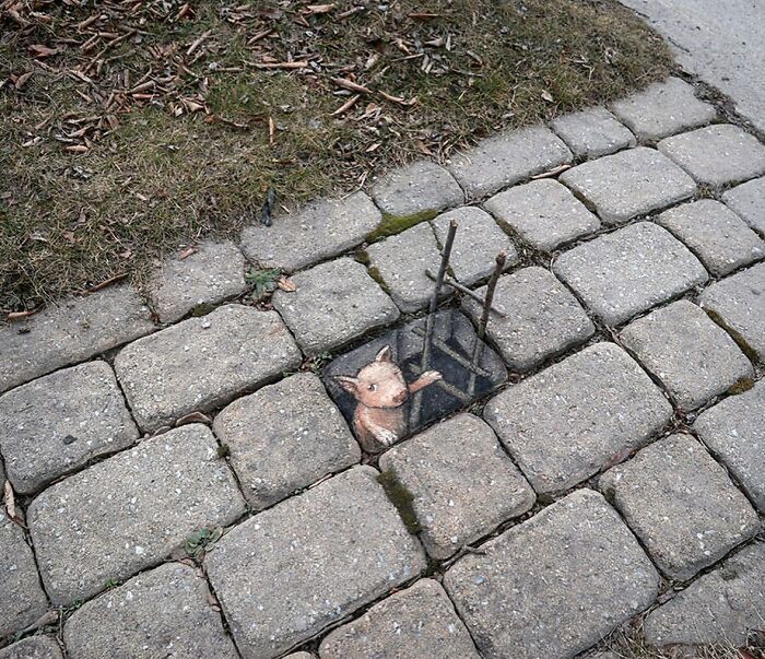 davidzinn/instagram