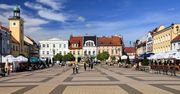 Bez drzew upały nas wykończą. Oto jak zieleń zmniejsza temperaturę w miastach